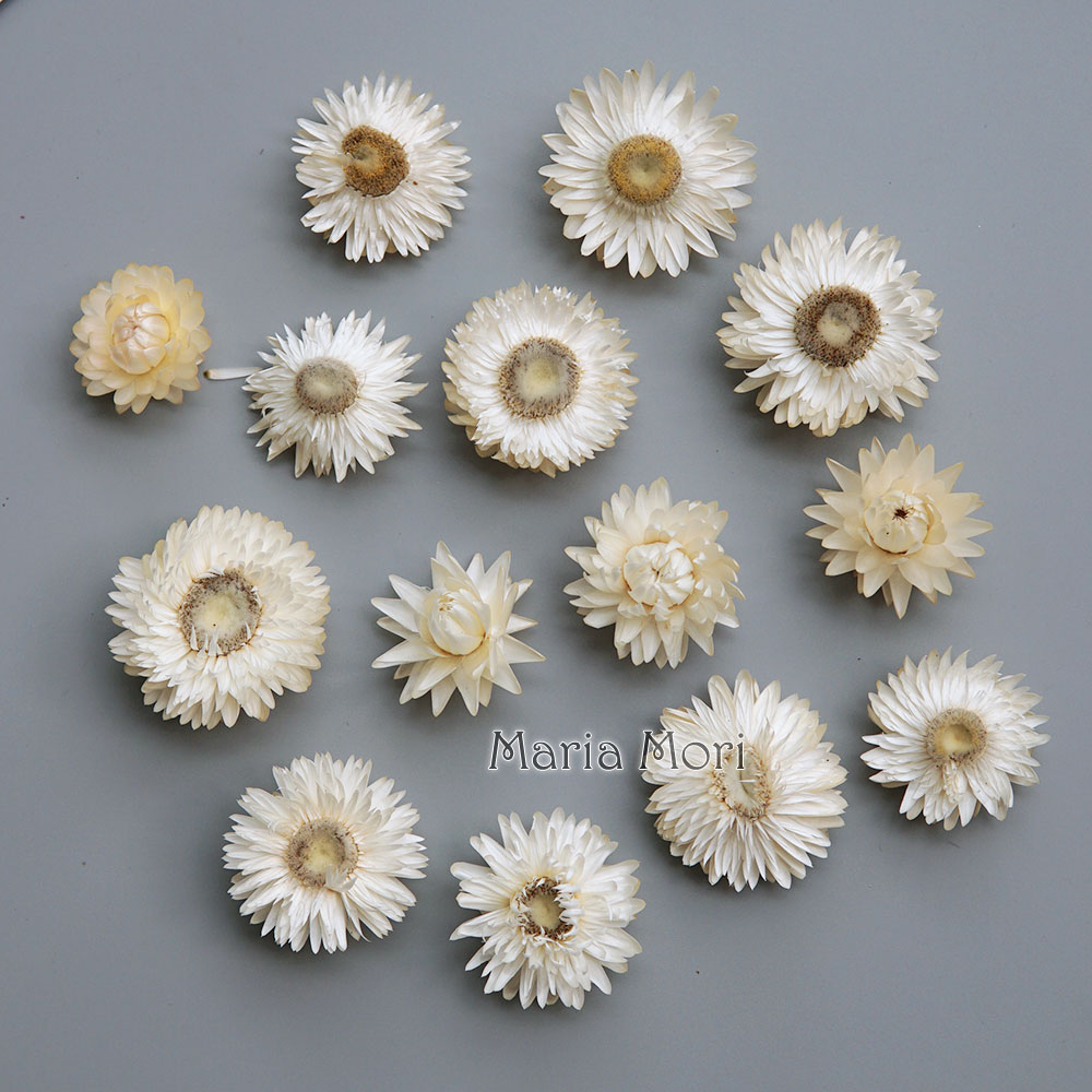 Natural Dried Colorful Chrysan - Baby Products 1 Year 评论和价格