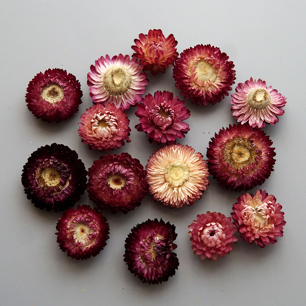 Natural Dried Colorful Chrysan - Baby Products 1 Year 评论和价格