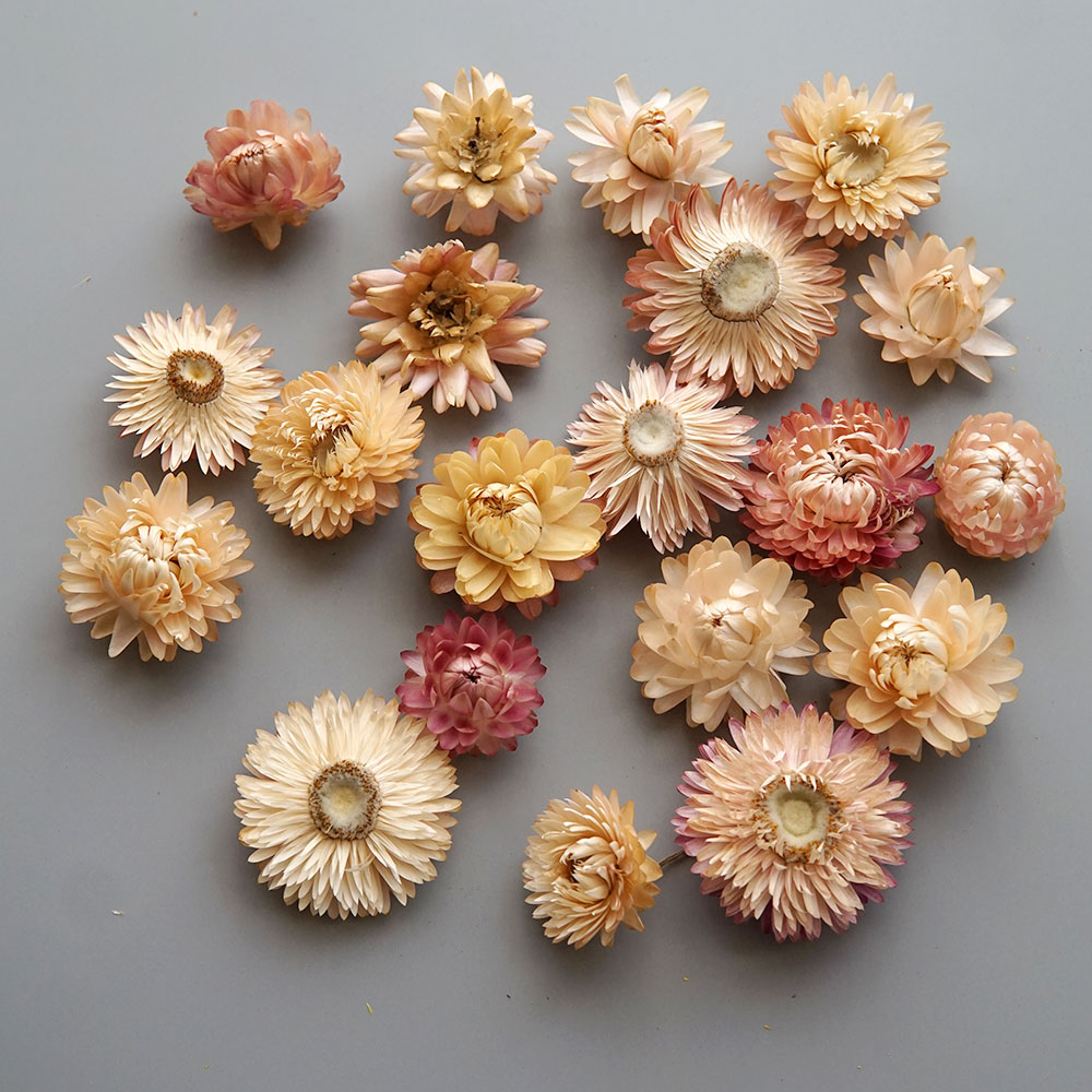 Natural Dried Colorful Chrysan - Baby Products 1 Year 评论和价格
